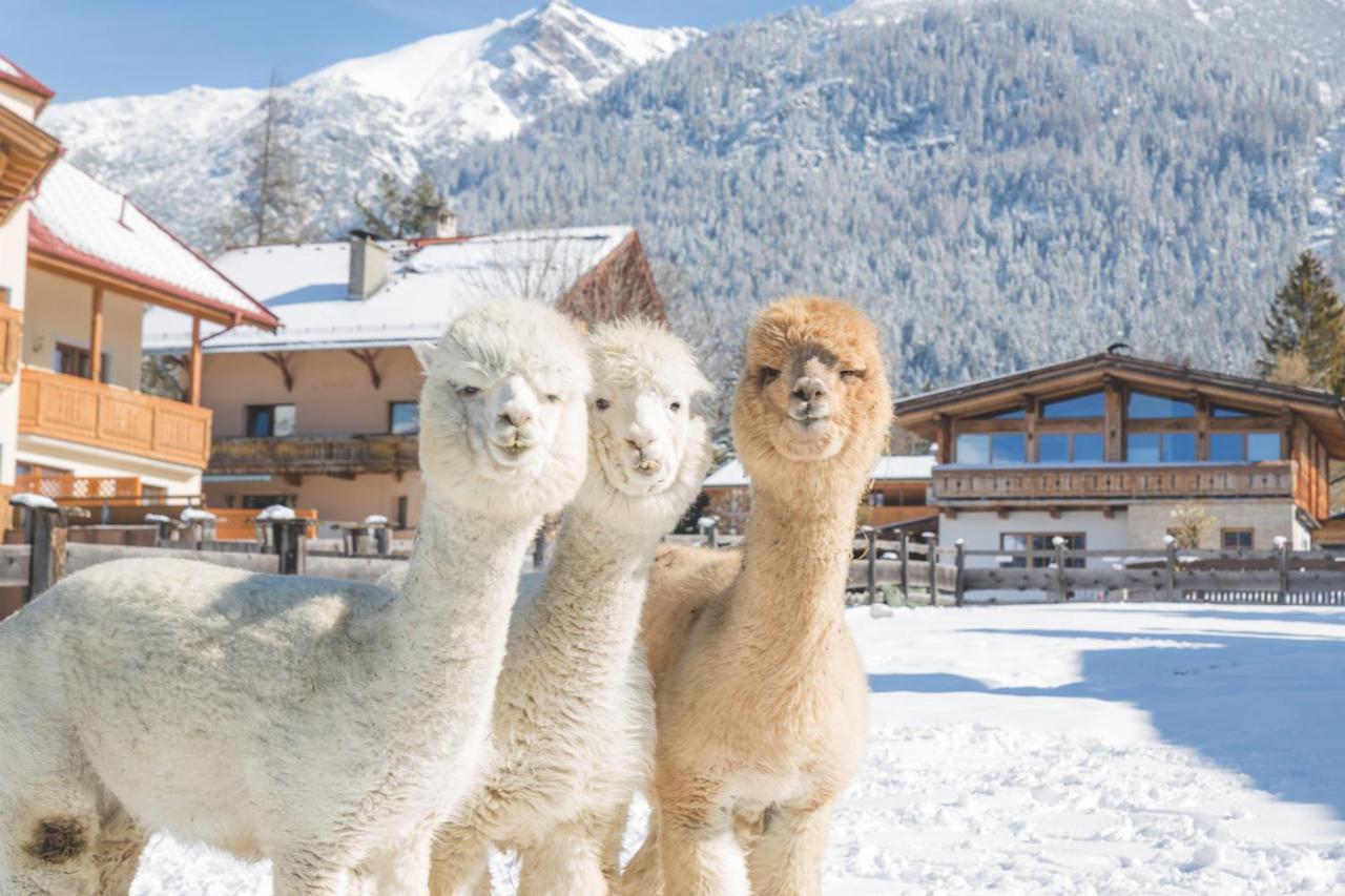 Flat Hotel Seefeld in Tirol Buitenkant foto